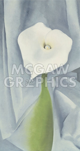 Calla Lily On Grey, 1928 