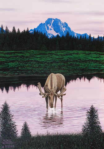 Moose near Mt. Moran