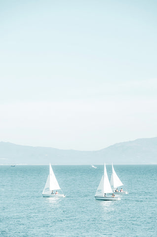 Three Sailboats in the Ocean
