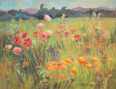 Field of Poppies