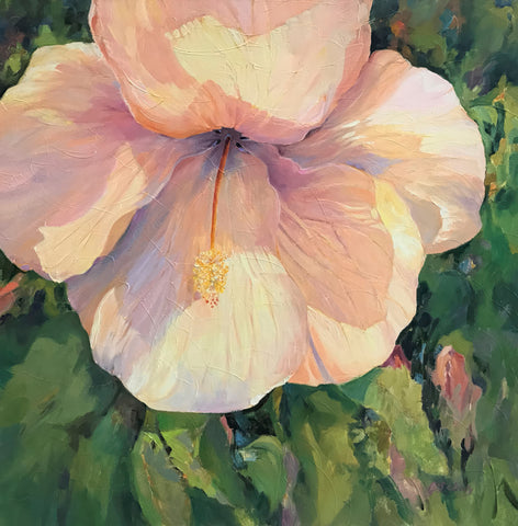 Hibiscus