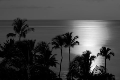 Moonrise Reflection