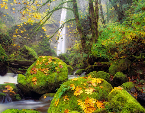 Elowah Falls Autumn