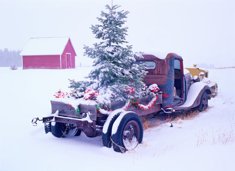 Christmas Tree Truck