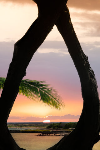 Framed Sunset