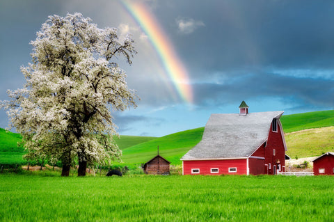 Farm Sunrise