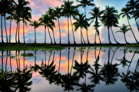 Palm Reflection