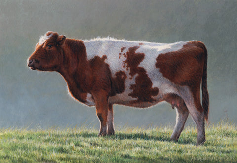 Cow