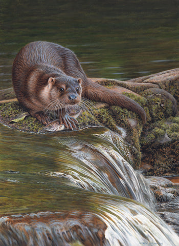 Otter