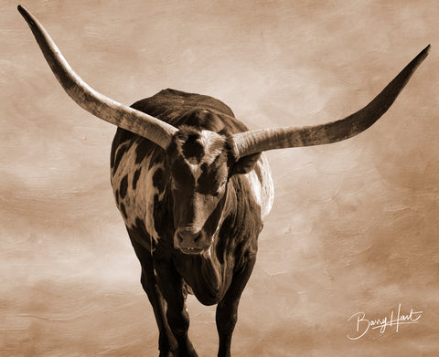 Longhorn Named Spot