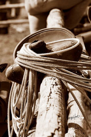 Rope n’ Saddle