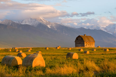 Barn and Hay Bales with Mission Mountains