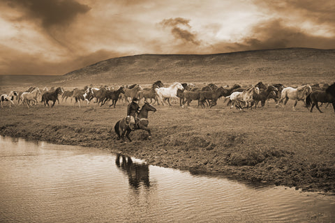 Sombrero Herd