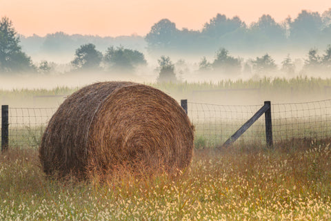 Harvest Serenity