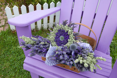 Lavender Elegance