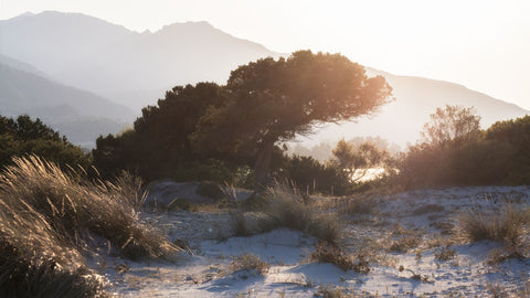 Dune Adventures