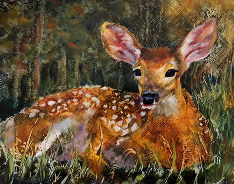 Little Fawn