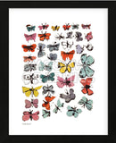 Butterflies, 1955  (many/varied colors) (Framed)