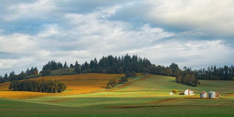 Light Spills Across the Farm