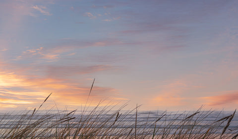 Sea and Sky Through the Grasses