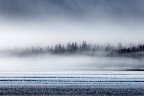 Morning Mist, Glacier Bay, Alaska