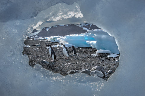 Antarctic Window