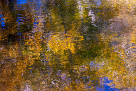 Aspen Reflections