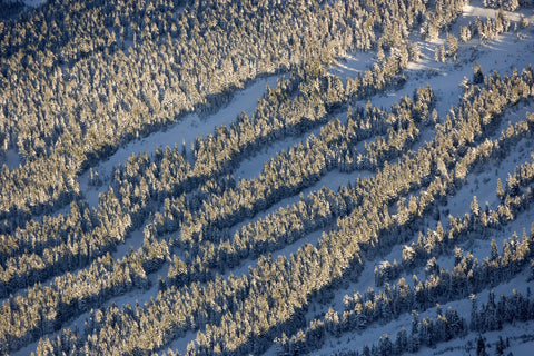 Snowy Slopes, Mount Hood