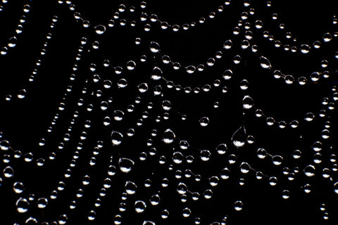 Bejeweled Web