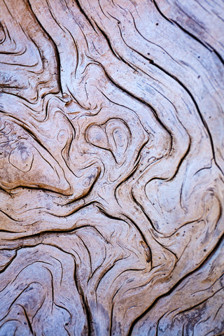 Driftwood Heart