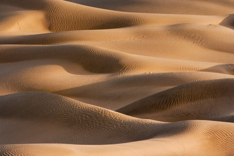 Thar Desert Dunes II