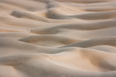 Thar Desert Dunes I