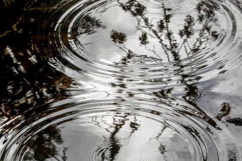 Branches and Ripples