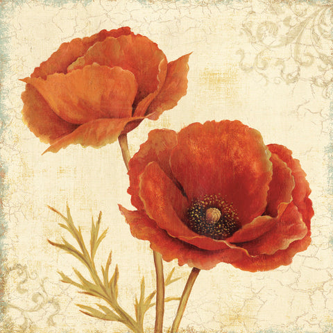 Poppy Bouquet I | McGaw Graphics