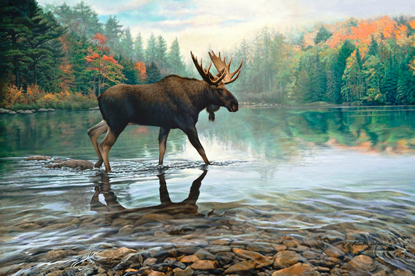 Moose Crossing | McGaw Graphics