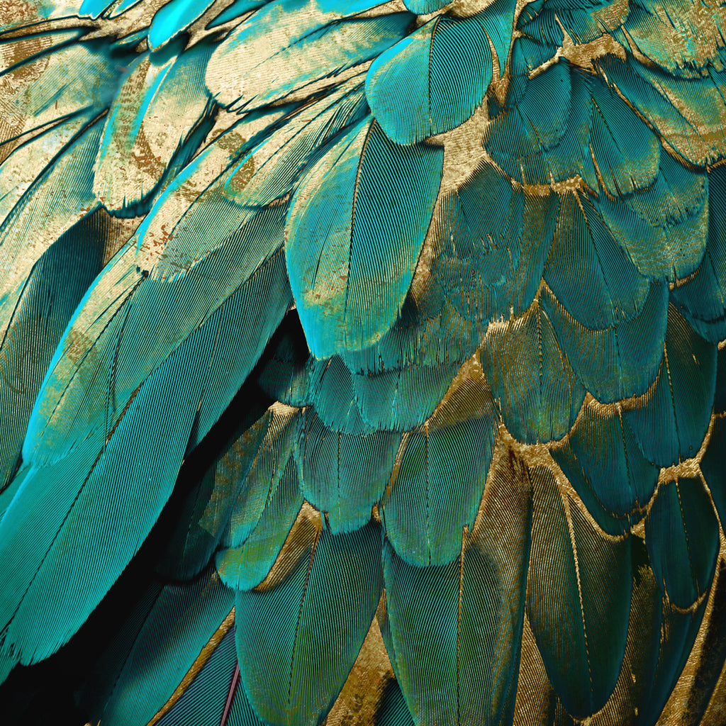 6,535 Krishna Feather Images, Stock Photos & Vectors | Shutterstock