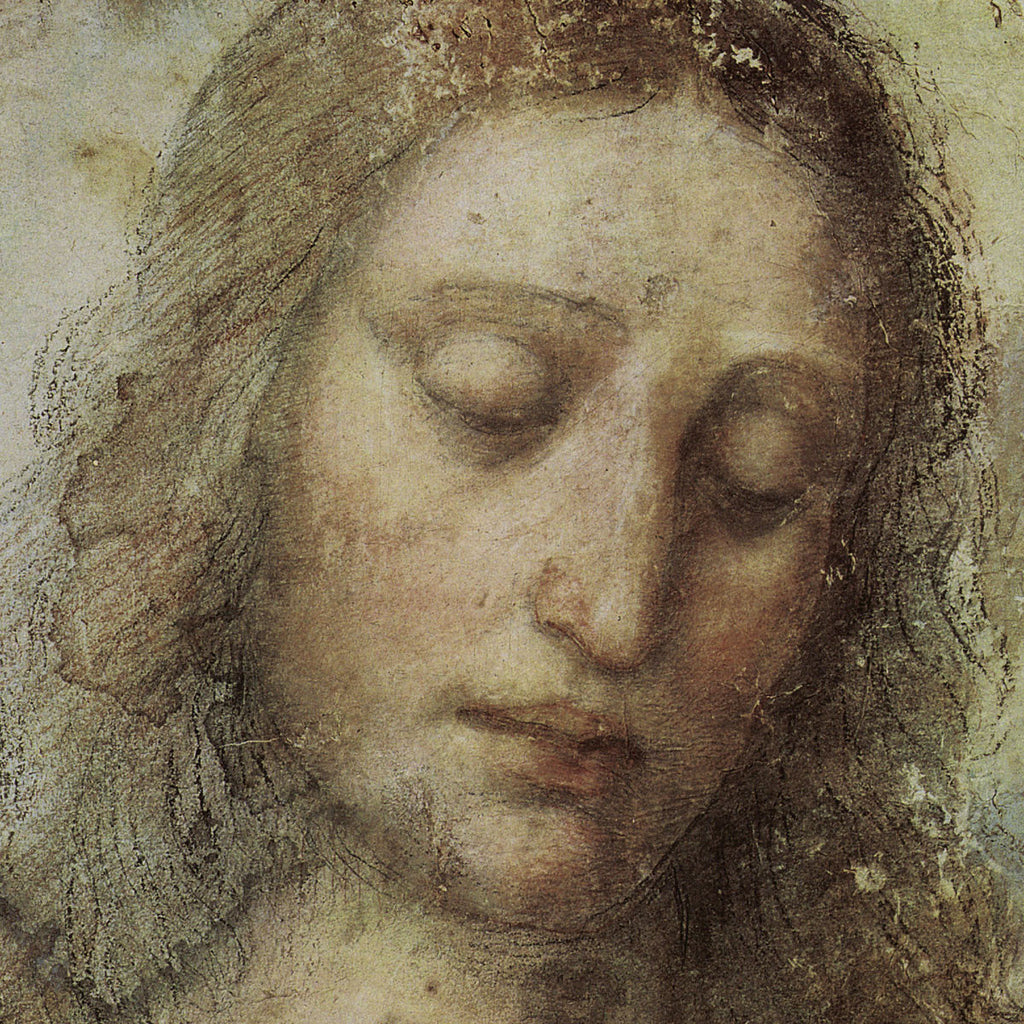 Leonardo da Vinci Picture Study Aid and Art Prints