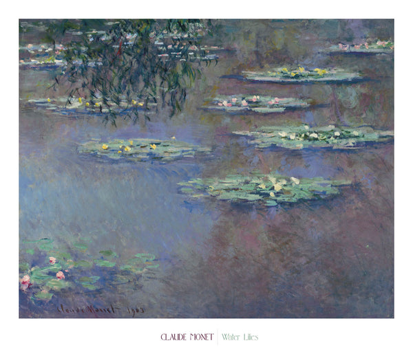 Water Lilies, 1903 | McGaw Graphics