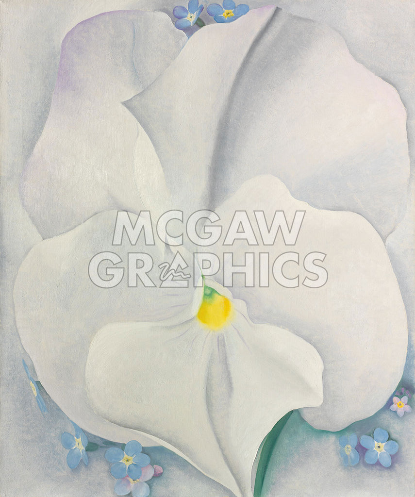 White Pansy, 1927 | McGaw Graphics