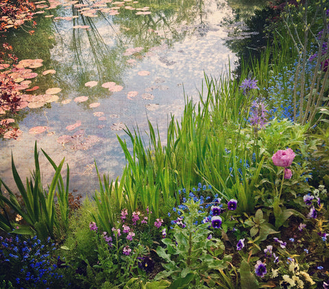 Monet‚Äôs Waterlily Pond -  Dawne Polis - McGaw Graphics