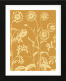 Chrysanthemum 20 (Framed) -  Botanical Series - McGaw Graphics