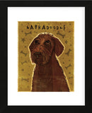 Chocolate Labradoodle (Framed) -  John W. Golden - McGaw Graphics