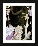 Black Lilac Layers  (Framed) -  Jenny Kraft - McGaw Graphics