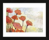 Poppies in Cream (Framed) -  Jennifer Lommers - McGaw Graphics