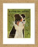 Australian Shepherd (Framed) -  John W. Golden - McGaw Graphics