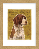 German Shorthaired Pointer (Framed) -  John W. Golden - McGaw Graphics