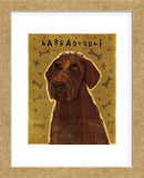 Chocolate Labradoodle (Framed) -  John W. Golden - McGaw Graphics