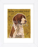 German Shorthaired Pointer (Framed) -  John W. Golden - McGaw Graphics