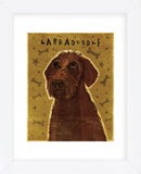 Chocolate Labradoodle (Framed) -  John W. Golden - McGaw Graphics