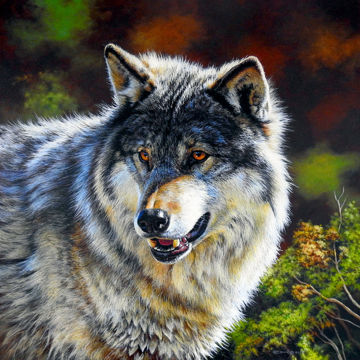 grey wolf range
